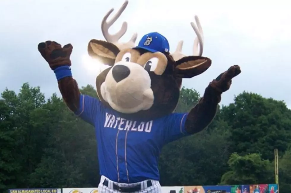 Host Families Are Needed For The Bucks Summer Season