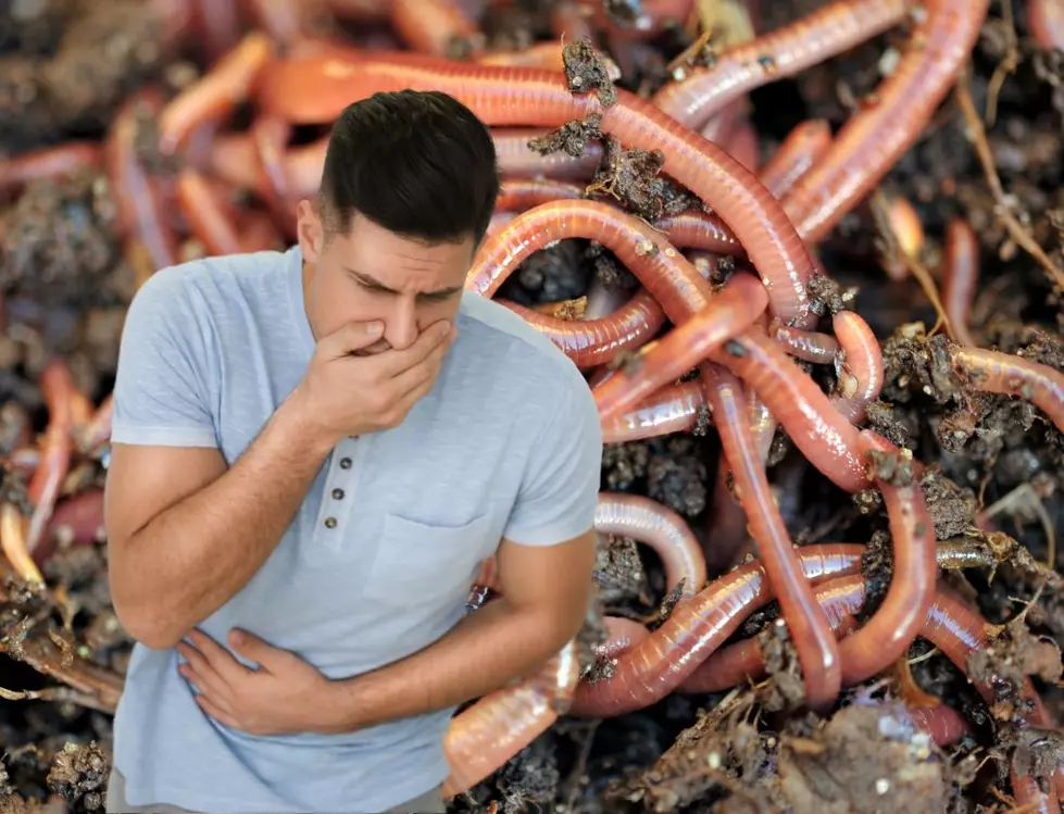 Guts and Glory: Worm Eating Contest at Adventureland Promises Spooky Thrills