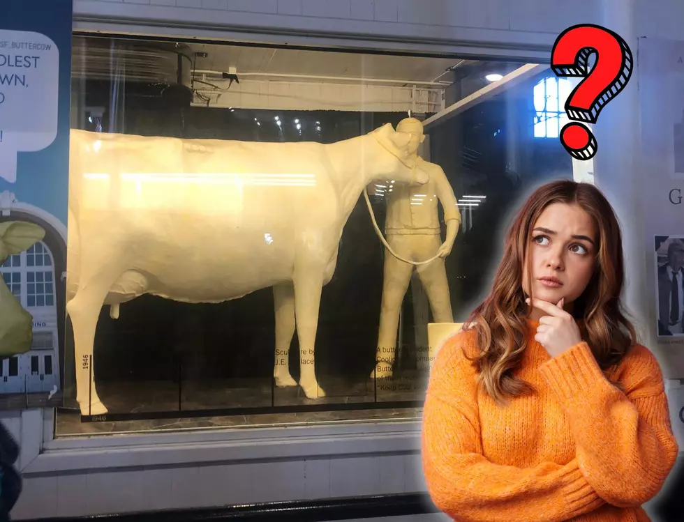 Butter Believe It: The Surprising Fate of the Iowa State Fair Butter Cow